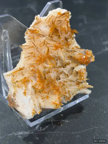 Vanadinite sur Baryte 3