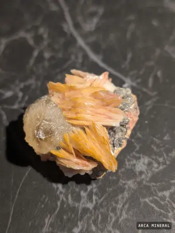 Cérusite sur Baryte 2